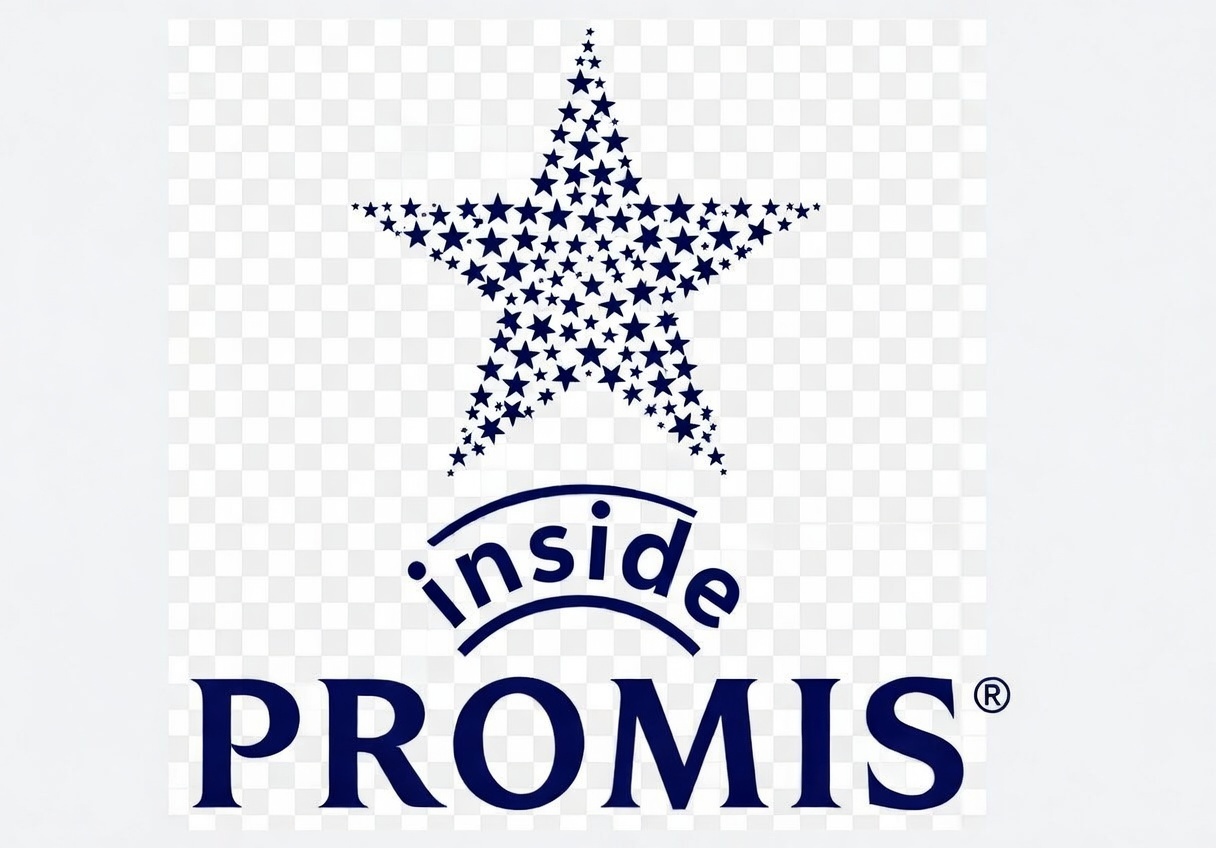 Promis Inside